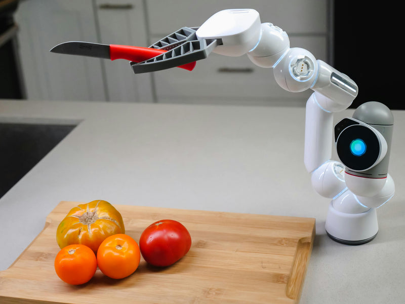 Smart Home (AI)