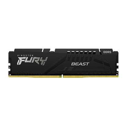Kingston FURY Beast DDR5 16GB 5600MHZ Memory.